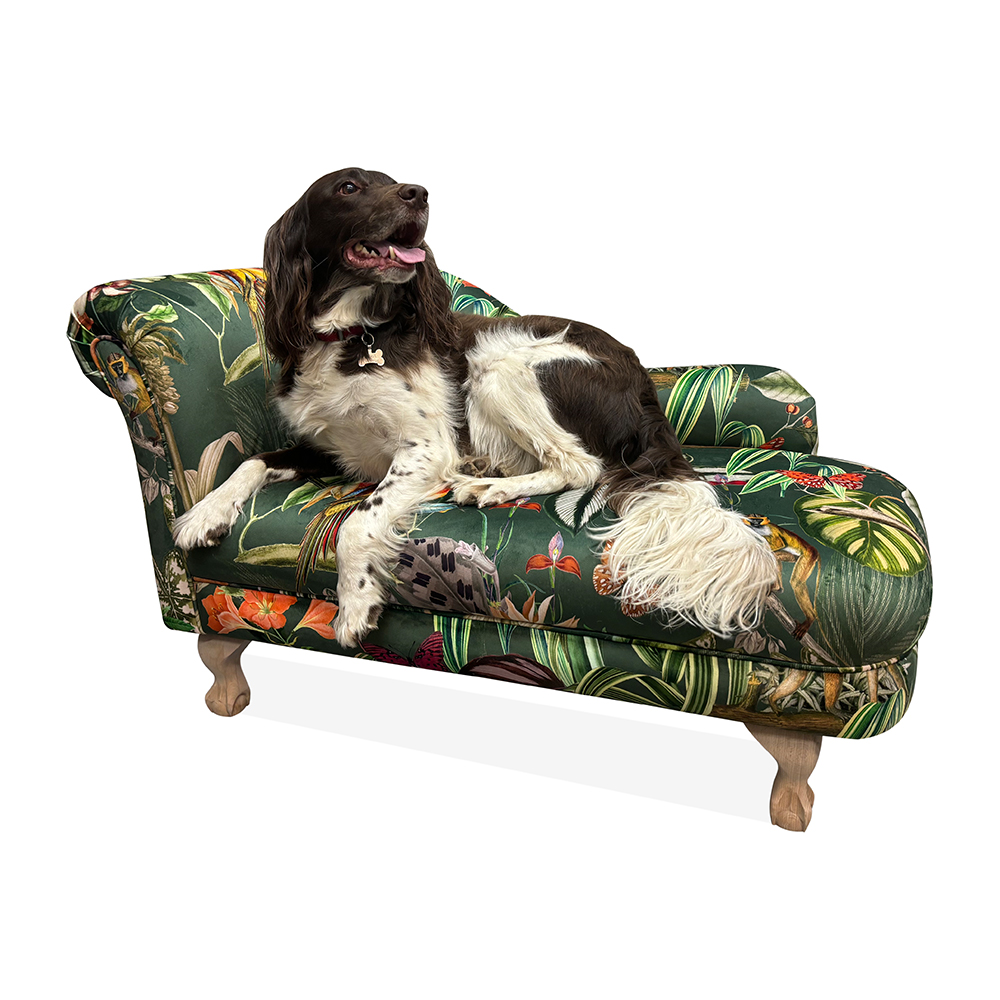 Dog_Chaise_1.png